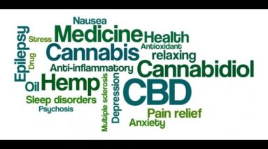 Where To Get Green Health CBD Gummies [SCAM or LEGIT?: BEST CBD Gummies Review!]