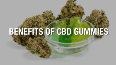 CBD Gummies 1000Mg Per Gummy (WARNING: Important Info!)