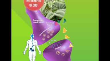 CBD Gummies For Kids [SCAM or LEGIT?: Watch Before Buying!]