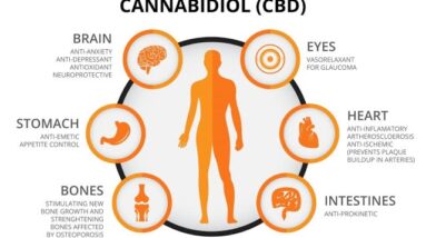 Koi CBD Gummies Benefits (EXPOSED! Best CBD Gummies Review!)